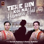 Tere Bin Koi Na Hamara Hai Khatu Shyam Bhajan (Shyam Baba Bhajan)