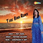 Tere Bina Remix