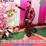 Tero Goro Bhuro Deel