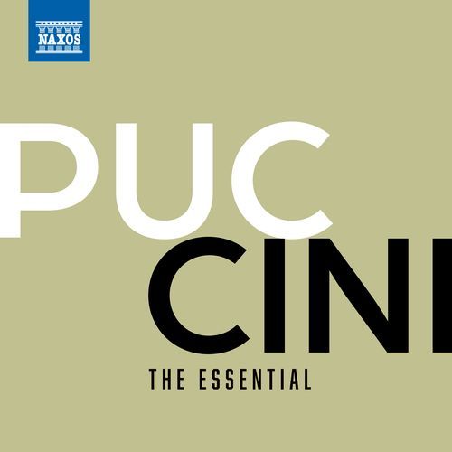 The Essential Puccini_poster_image