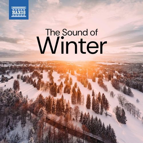 The Musical Sleigh-Ride (Arr. for Orchestra by Richard Hayman) cover art
