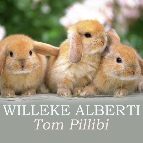 Tom Pillibi cover art