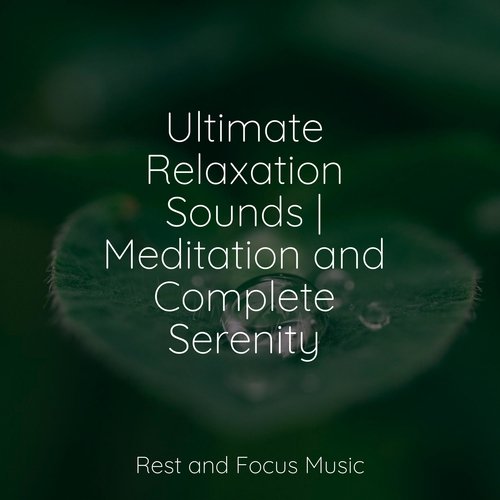 Ultimate Relaxation Sounds | Meditation and Complete Serenity_poster_image