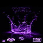 Wet (Chopped Not Slopped Remix)