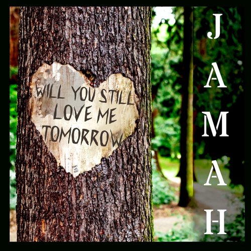 Will You Still Love Me Tomorrow_poster_image