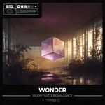 Wonder (feat. Jordan Grace)
