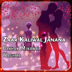 Zaar Kaliwal Janana-KD4-WAJzc1A