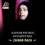 Zainab Pay Kya Guzarti Hai