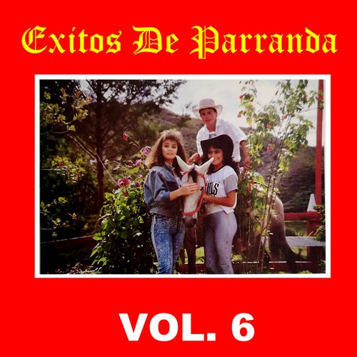 Éxitos de Parranda Vol. 6