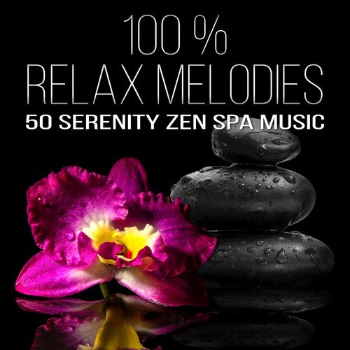 100 % Relax Melodies - 50 Serenity Zen & Spa Music Therapy for Relaxing Massage, Gentle Nature Harmonies to Create a Peaceful State of Mind