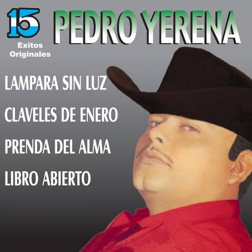 Pedro Yerena