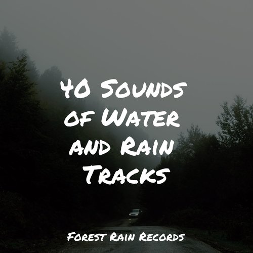 Rain, Storm and Thunder cover art