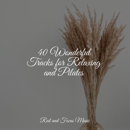 40 Wonderful Tracks for Relaxing and Pilates