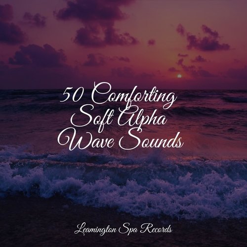 Meditating Music cover art