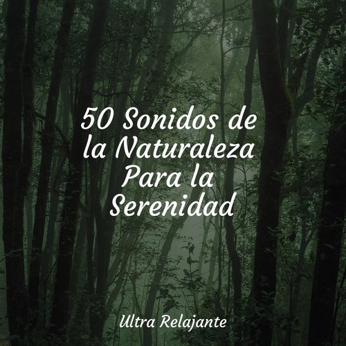 50 Sonidos de la Naturaleza Para la Serenidad