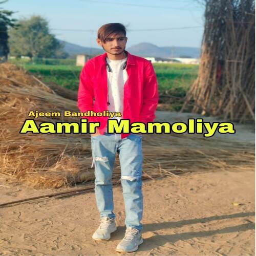 Aamir Mamoliya Ajeem Bandholiya