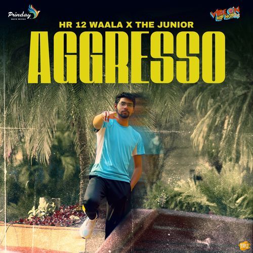 Aggresso