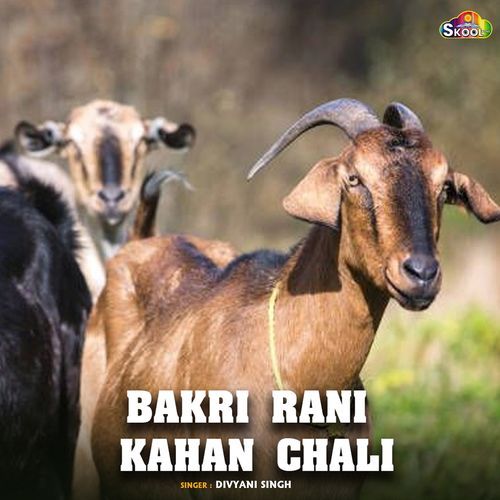 Bakri Rani Kahan Chali