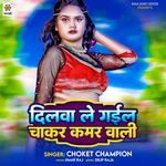 Dilwa Le Gail Chaakar Kamar Wali