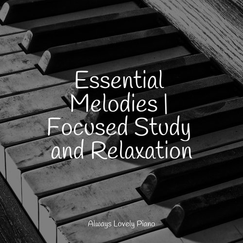 Essential Melodies | Focused Study and Relaxation