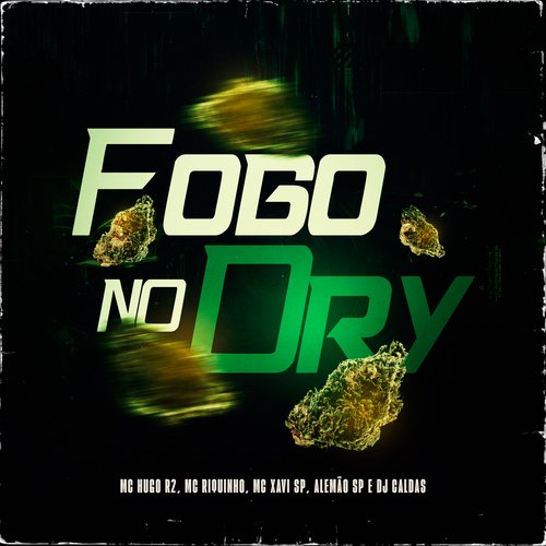 Fogo No Dry_poster_image