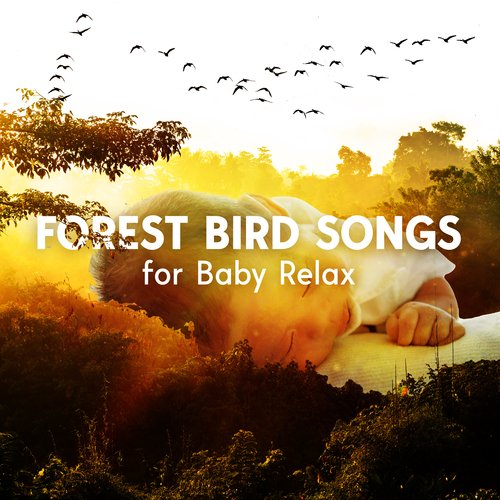 Forest Bird Songs for Baby Relax
