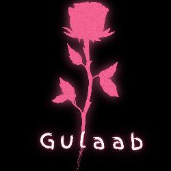 Gulaab-AwZTZiVDZng