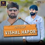 Hits Of Vishal Hapor