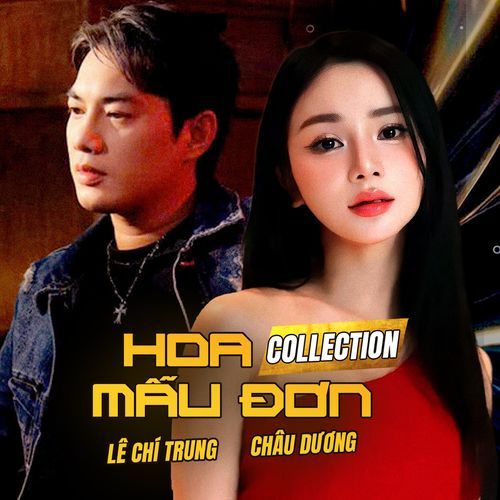 Hoa Mẫu Đơn (Mix Collection)