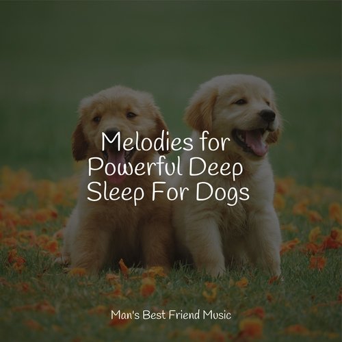 Meditating Music cover art