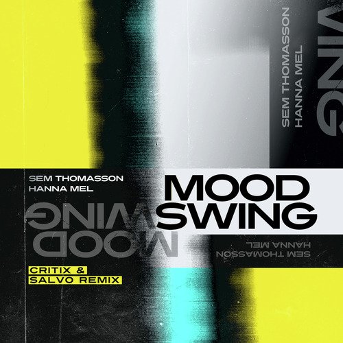 Mood Swing (Critix &amp; Salvo Remix)_poster_image