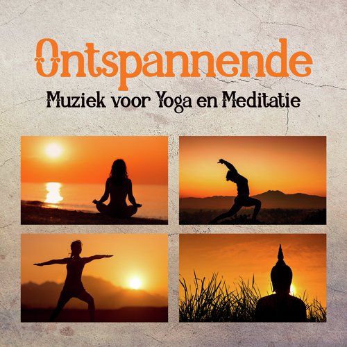 Zonnegroet cover art