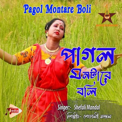 Pagol Montare Boli