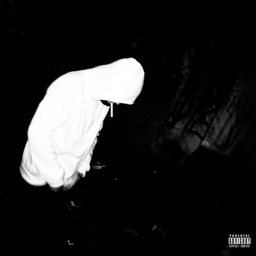 Placo cover art