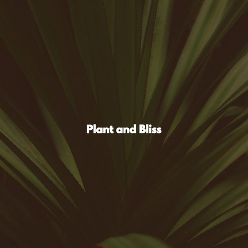Phenomenal Ambience for Nature Escapes cover art