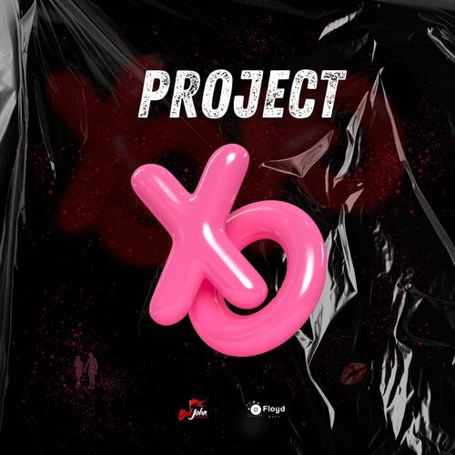 Project XO_poster_image