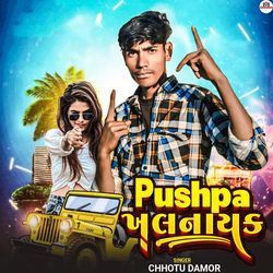 Pushpa Khalnayak Pt 2