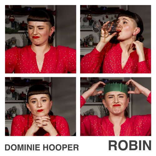 Robin cover art