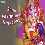 Shree Vakratunda Vinaayaka Movie Poster Shree Vakratunda Vinaayaka movie poster