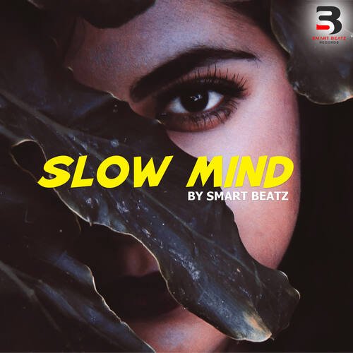 Slow Mind