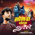 Sonawa Dhokha Karele