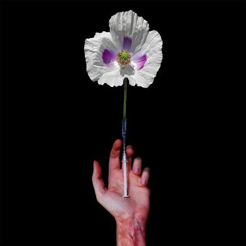 Kevin cover art