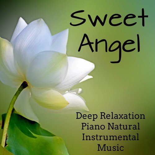 Sweet Angel - Sleep Deep Relaxation Piano Natural Instrumental Music to Reduce Anxiety Improve Concentration and Sleep Cycle_poster_image