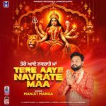 Tere Aaye Navrate Maa