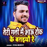 Teri Gali Me Aawu Rok Ke Batiyo Re