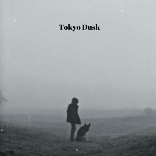 Tokyo Dusk