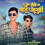 Tu Kem Rove O Mari Janudi