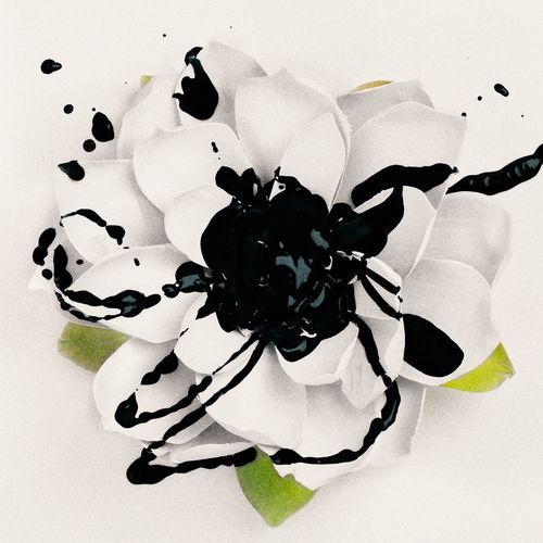 Harsh (Acoustic) cover art
