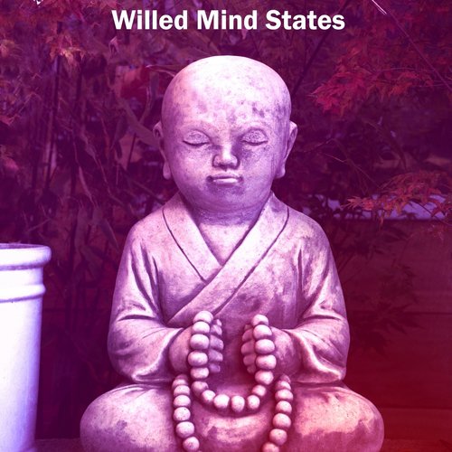 Willed Mind States