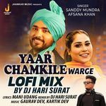 Yaar Chamkile Warge Lofi Mix
